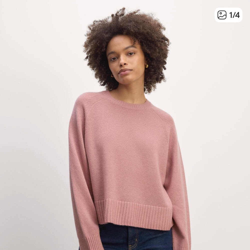 Everlane Boxy Crew in Cashmere